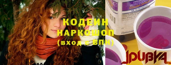 гашик Бородино